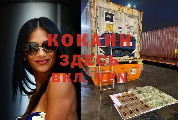 индика Нефтегорск