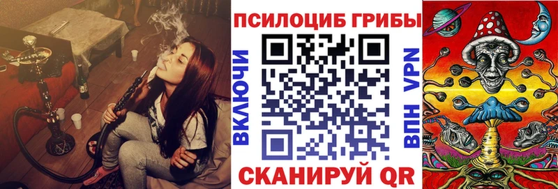 как найти Будённовск Галлюциногенные грибы мицелий